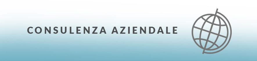 Cons. az.: innovaz. organiz. e internazionaliz.