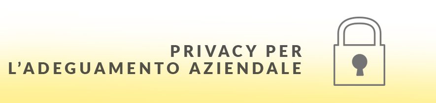 Privacy per l’adeguamento az. D.Lgs 196/03