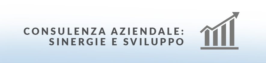 Cons. aziendale: sinergie e sviluppo