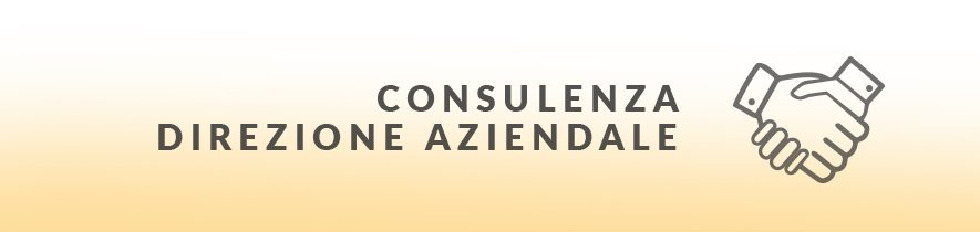 Cons. direz. aziendale: analisi e strategie